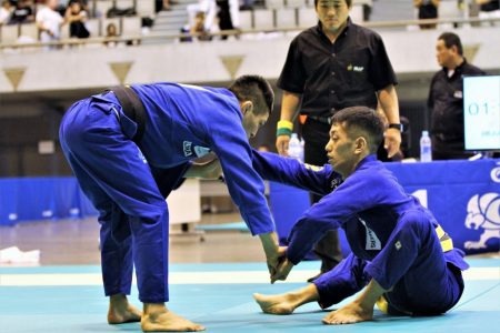 shibamoto-vs-hashimoto