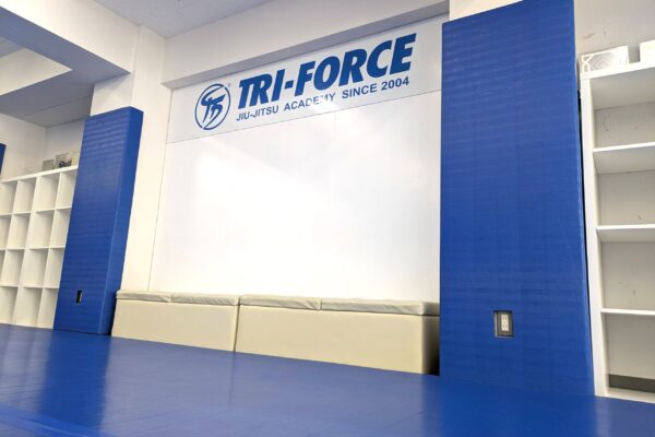 Logo display