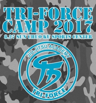 tfcamp2017